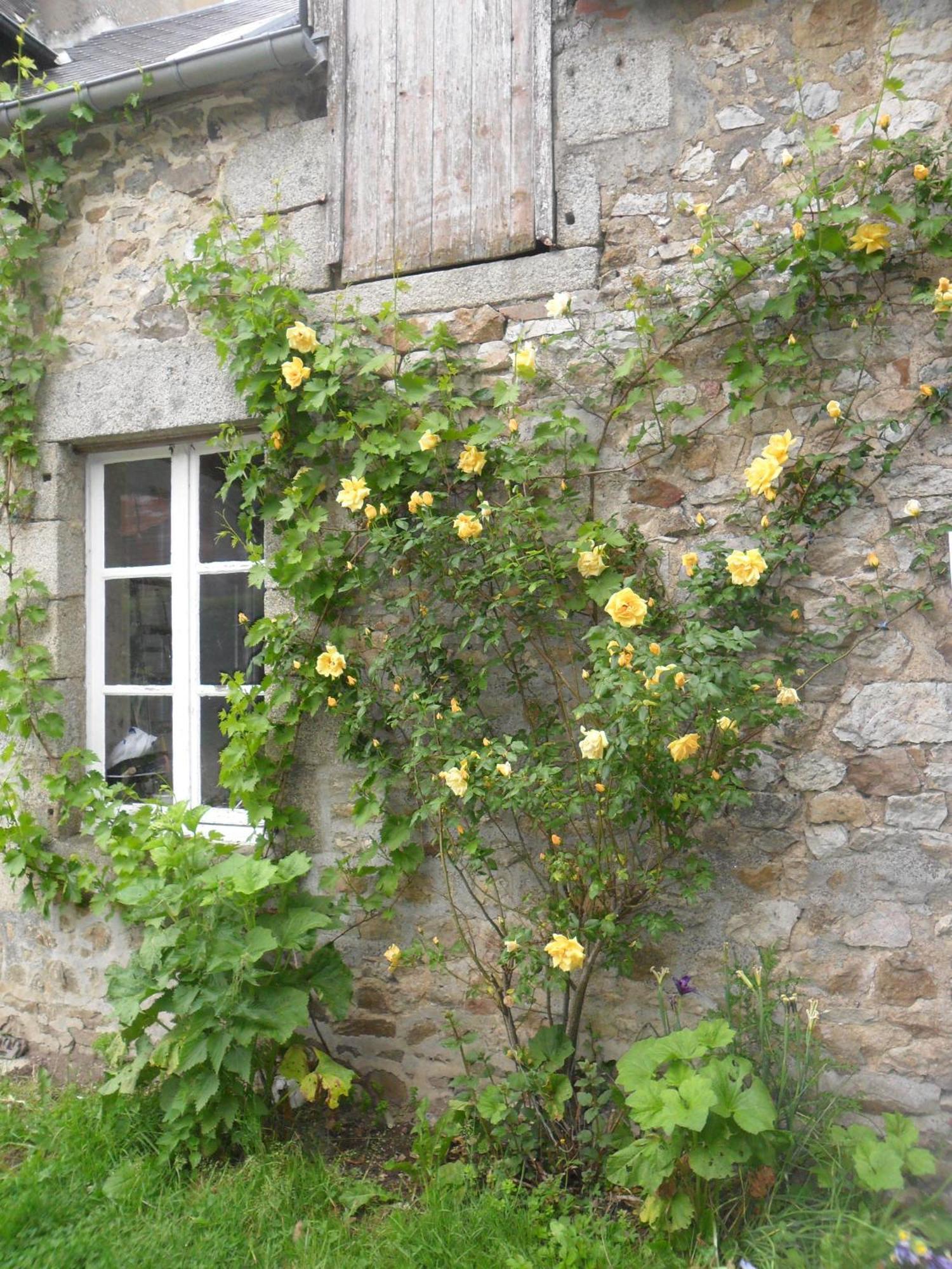 Les Hautes Loignieres Pre-en-Pail-Saint-Samson Exteriör bild